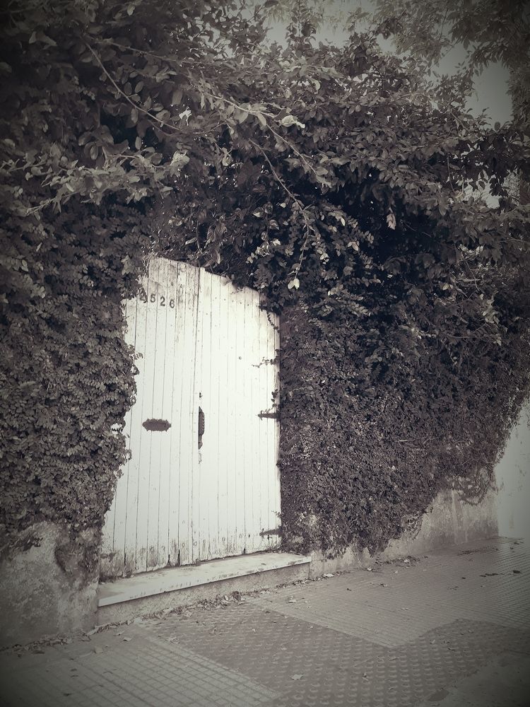 Photograph by matias garcia