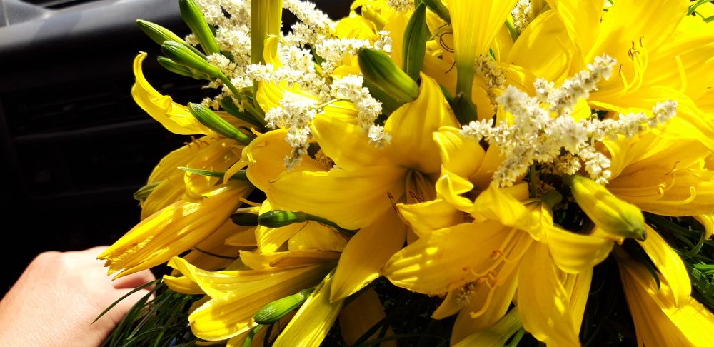 Photograph by Светлана