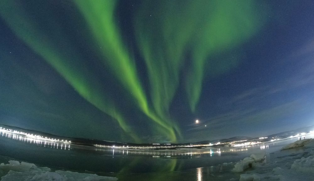 Зелёный веер