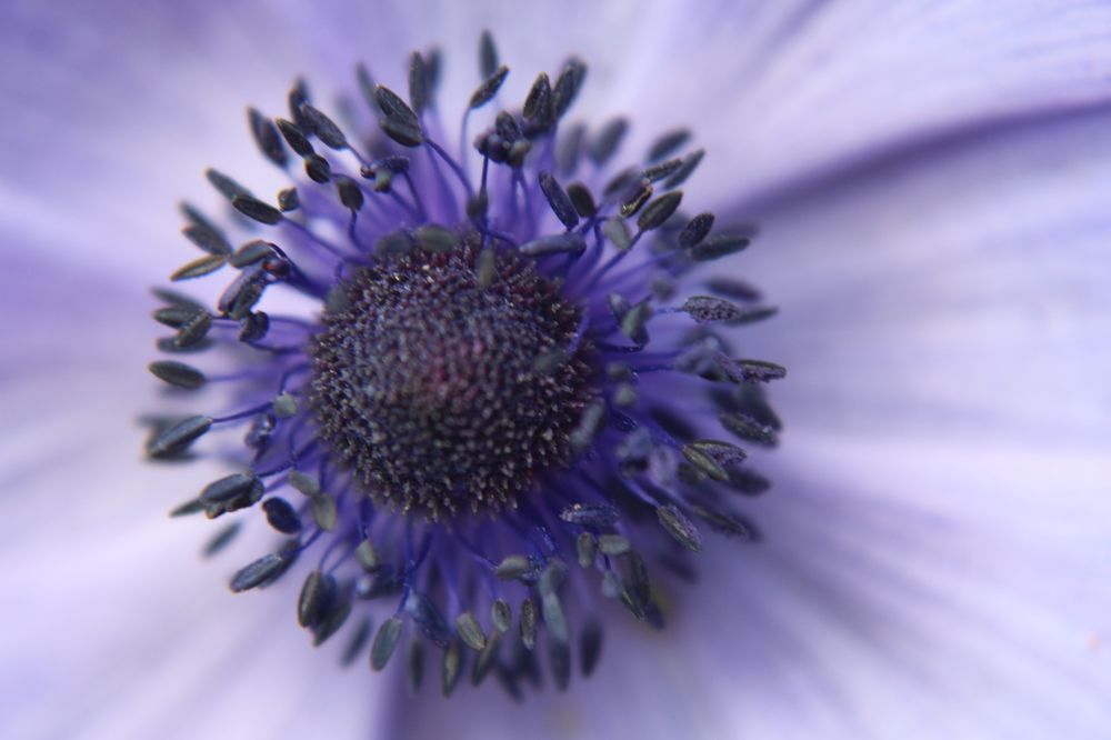 Photograph by Yordanka Vasileva