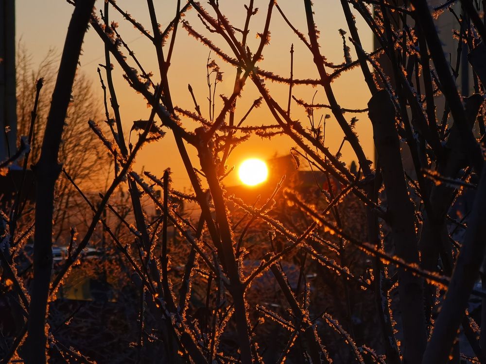 Мороз и солнце