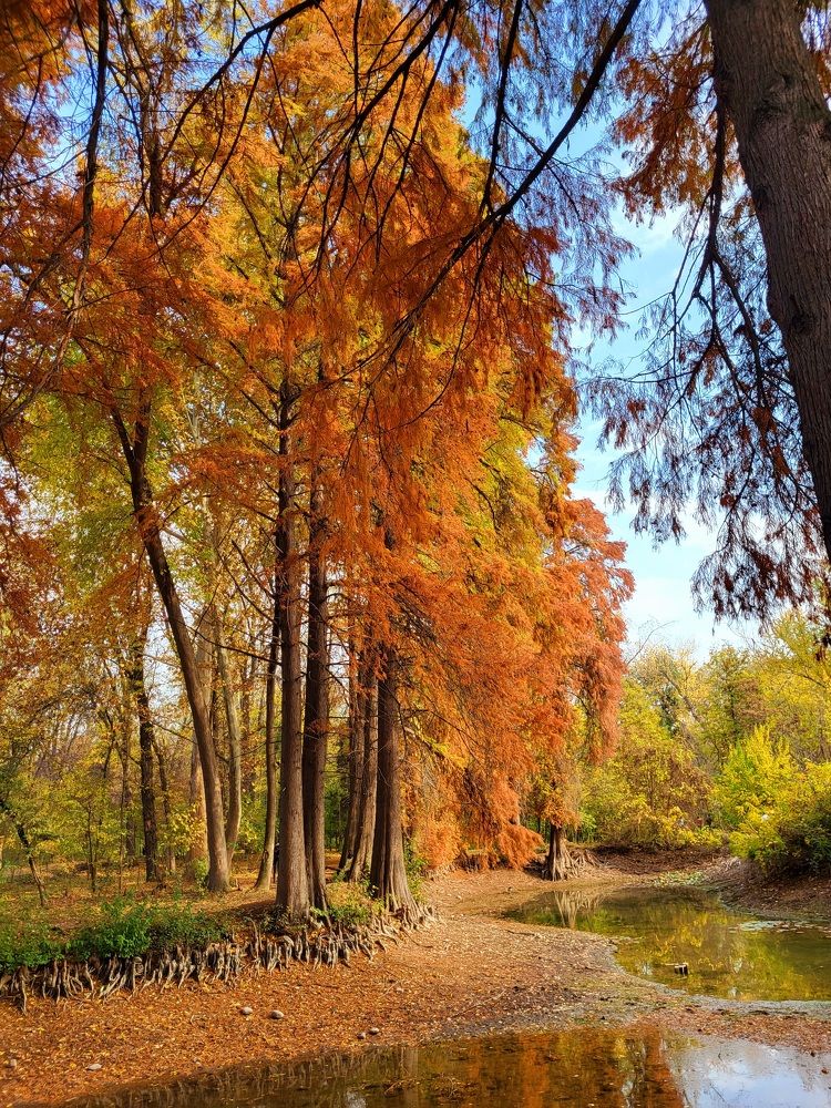 Photograph by Elizabeth Kabatskova