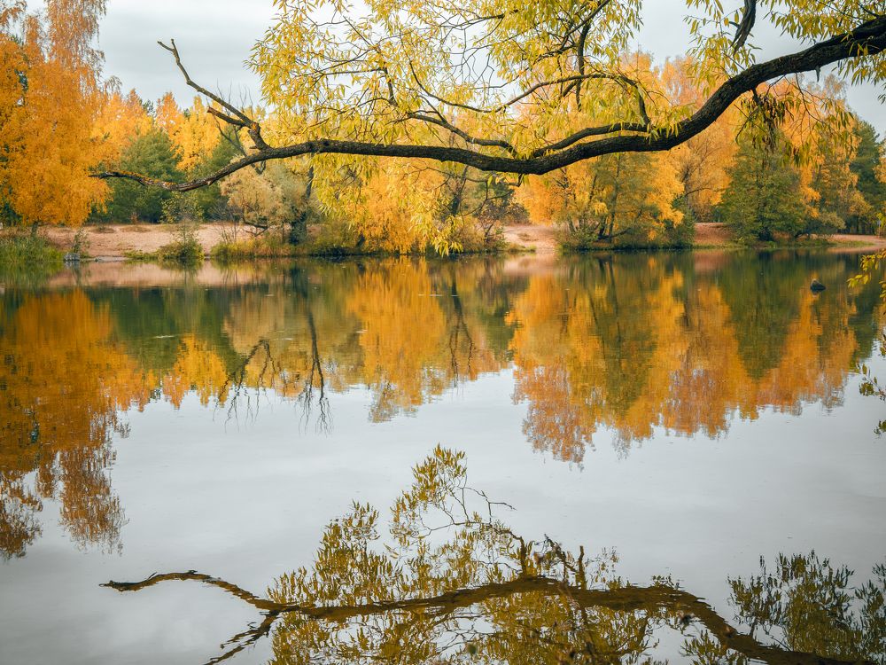 Photograph by Ярослав Изотов