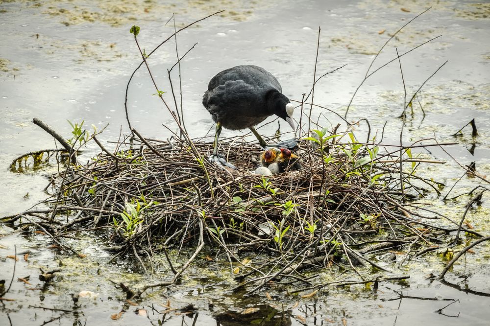 Photograph by Владимир Колесников