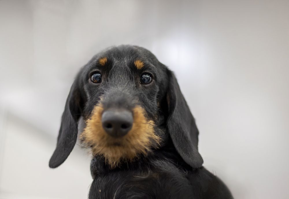 Photograph by Юлия Куликова