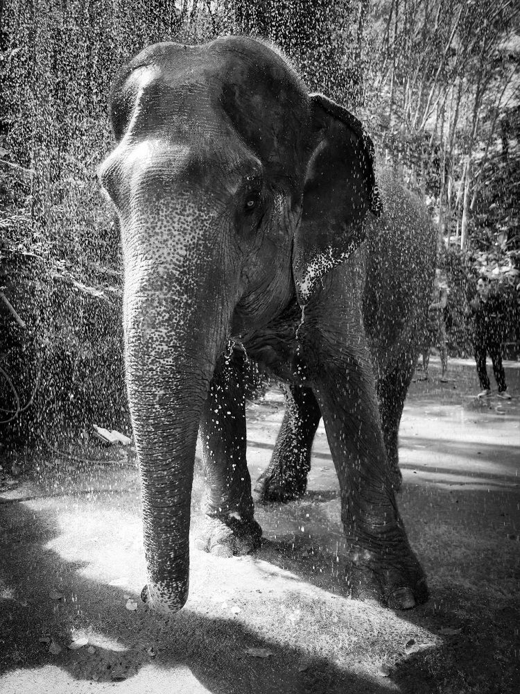 Photograph by Екатерина Слепнева