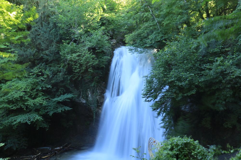 Белая невеста