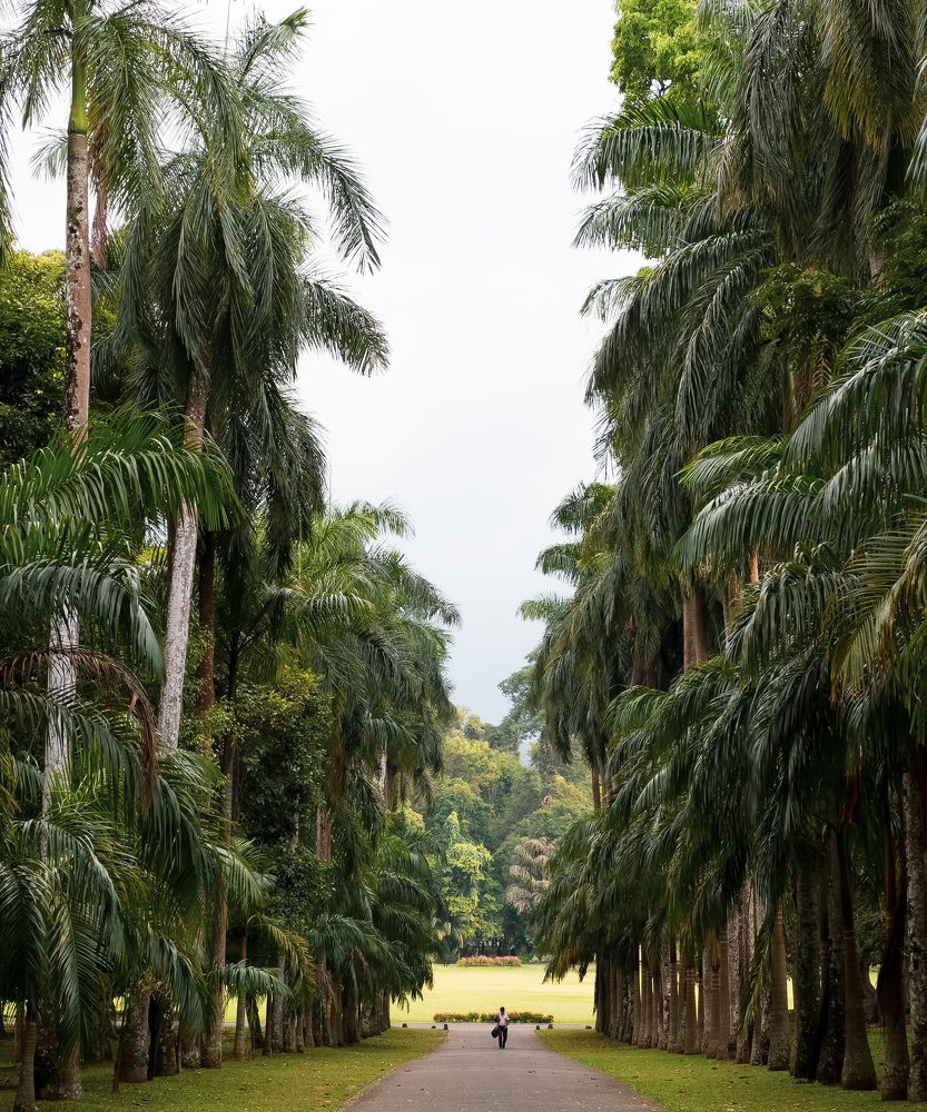 Фотография автора Anna