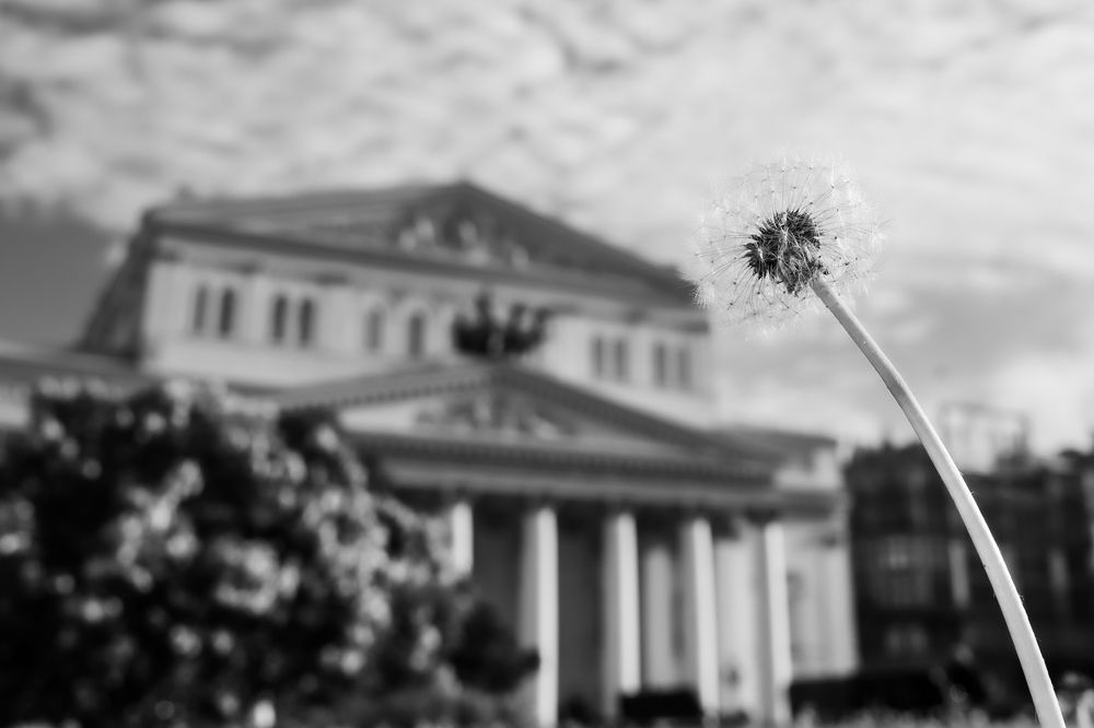Photograph by Батыр Аннадурдыев