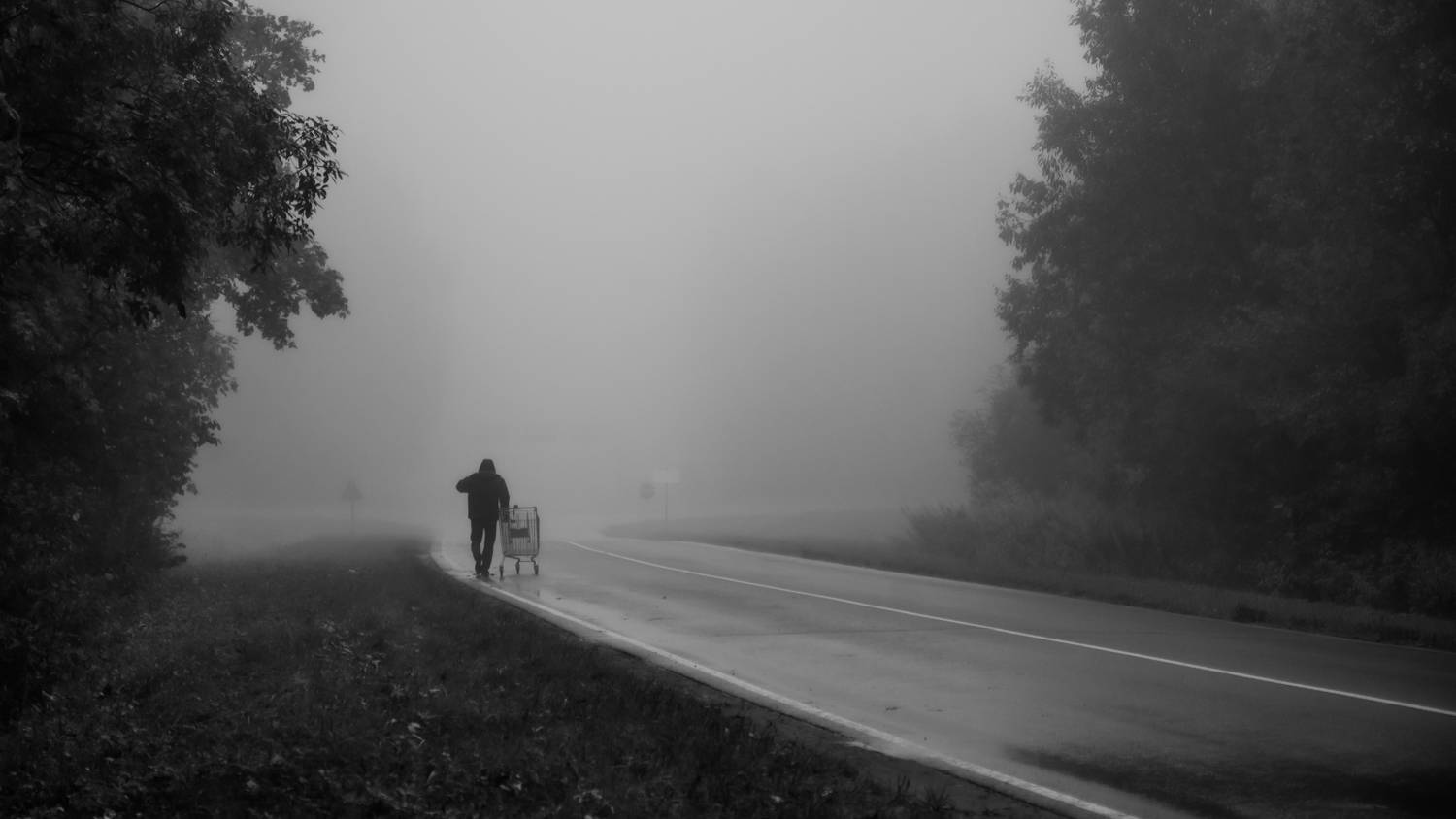 Photo #9043296