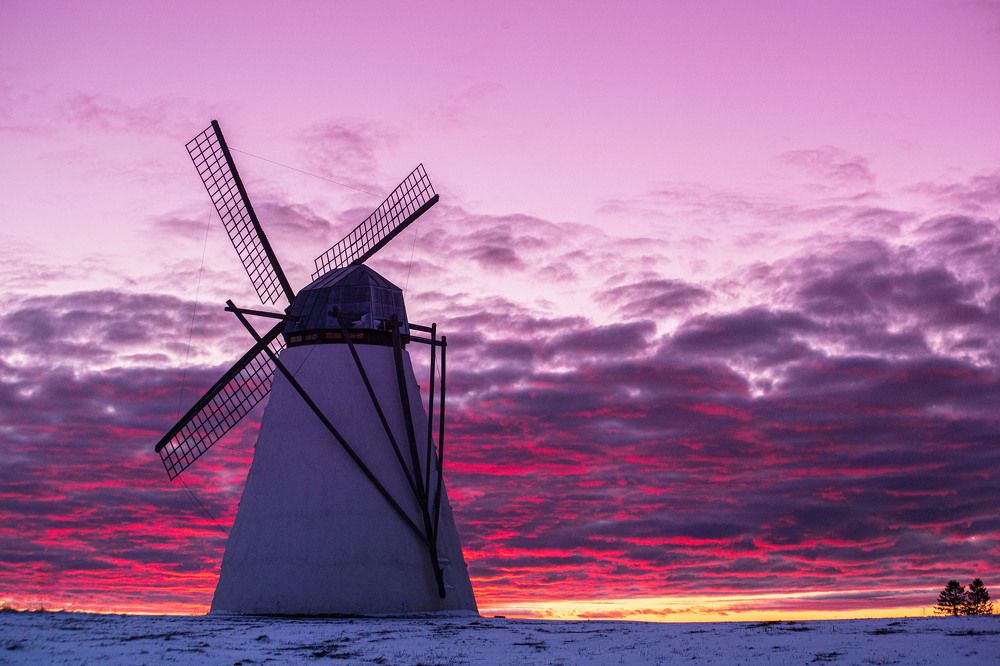 Photograph by Yulia Nikolaeva