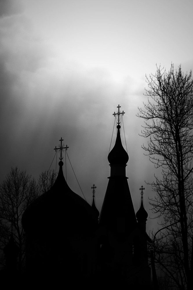 Фотография автора Варвара Власова