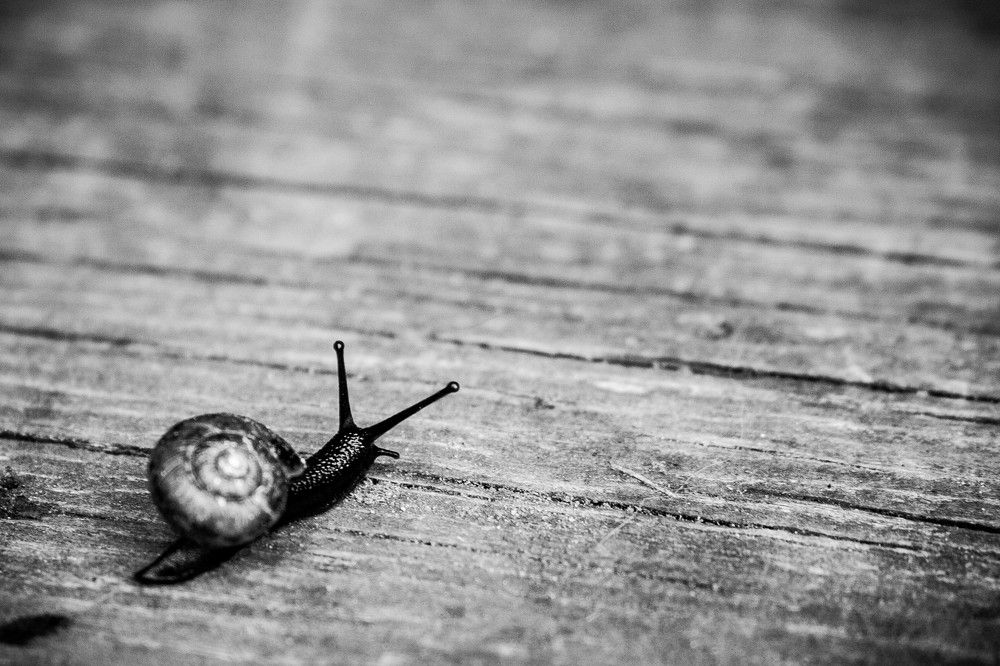 Фотография автора Варвара Власова