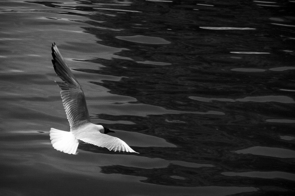 Фотография автора Варвара Власова