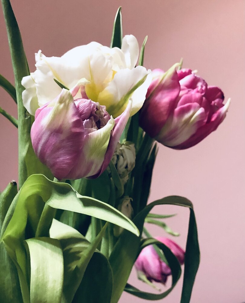 Photograph by Liubov