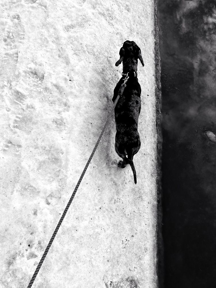 Photograph by Анастасия Иванова