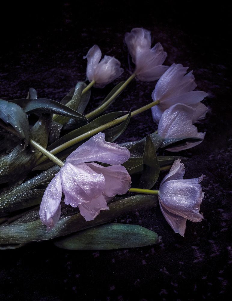 Красивое увядание