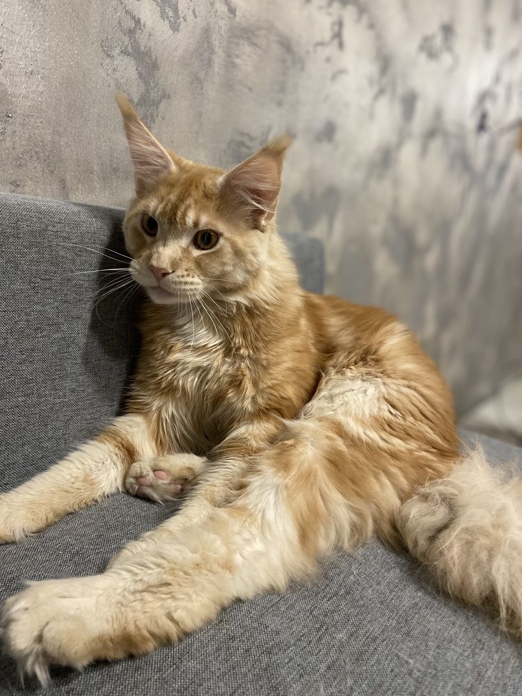 Photograph by Юлия Зеленева