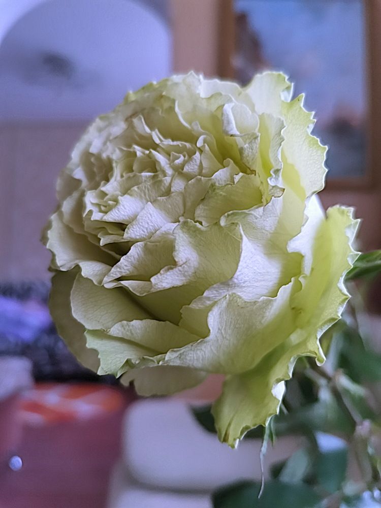 Фотография автора АЛЕКСАНДР ЦЫГЕЛЬНЮК