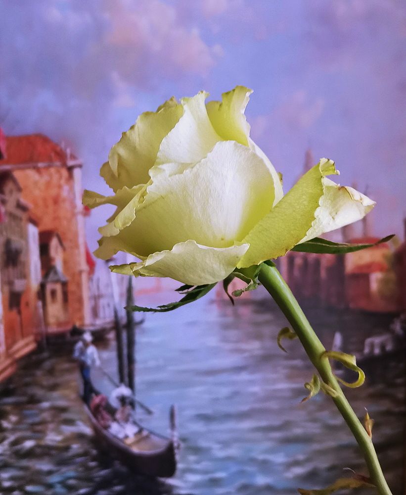 Фотография автора АЛЕКСАНДР ЦЫГЕЛЬНЮК