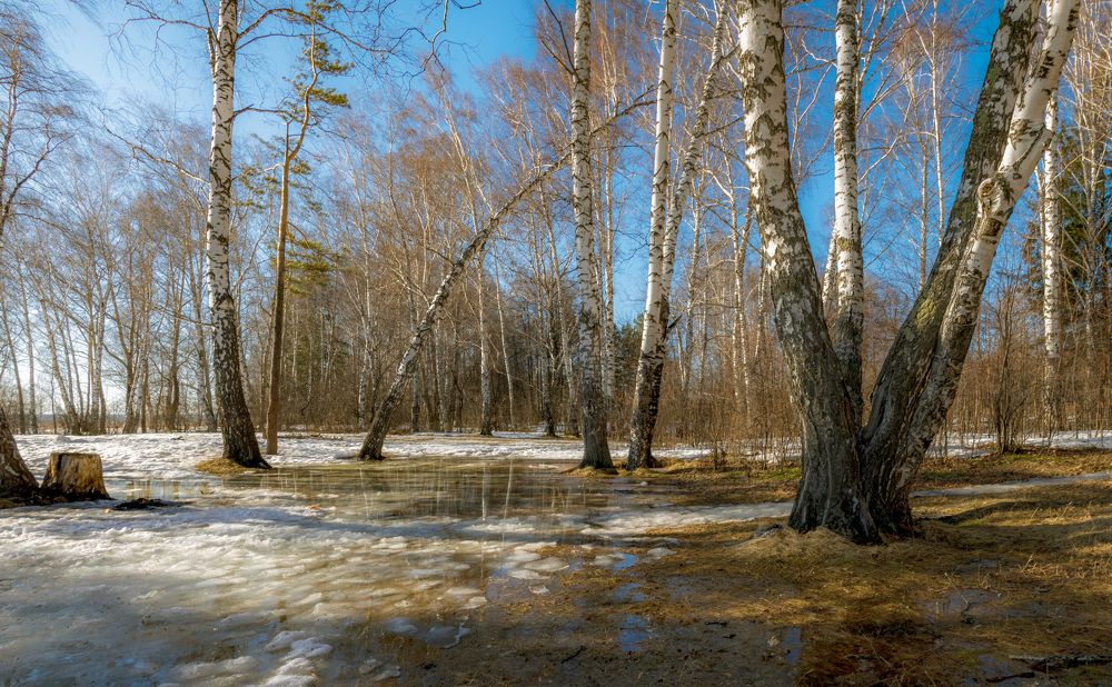 Photograph by Евгений Малинин