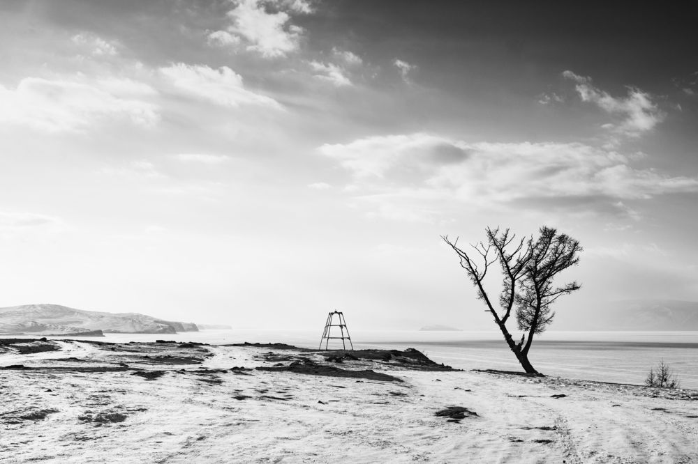 Photograph by Алена