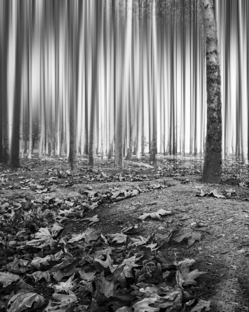 Photograph by ماه منیر علوی