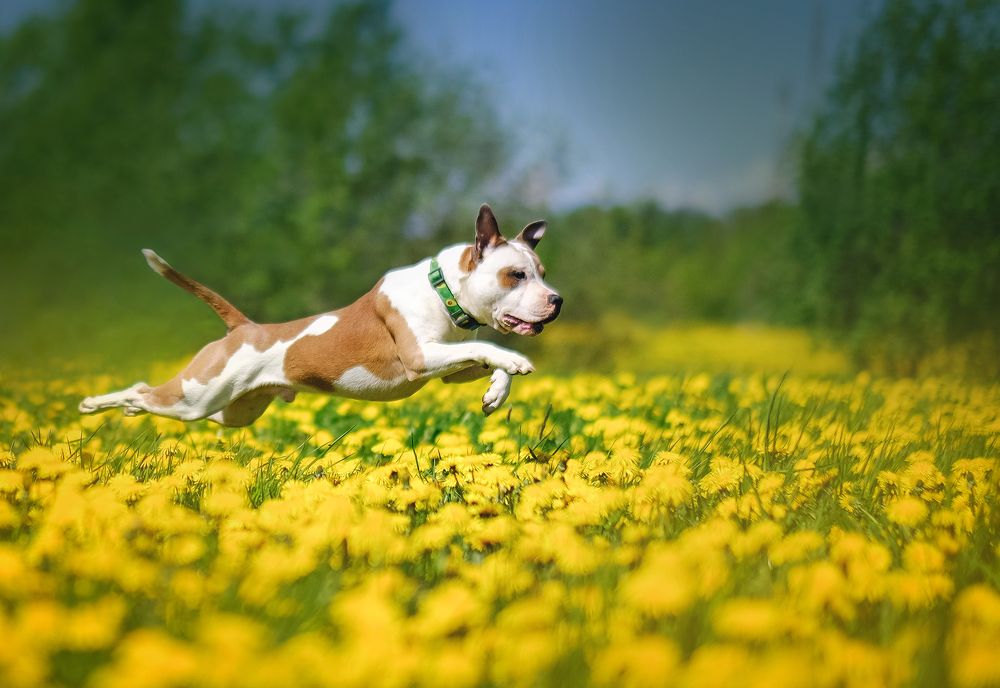 Photograph by Яковлева Лора Алексеевна