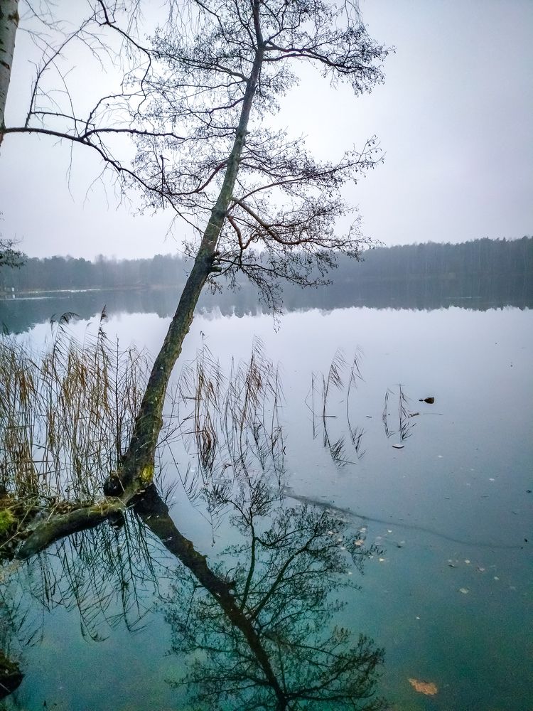 Photograph by Влад Апанасов