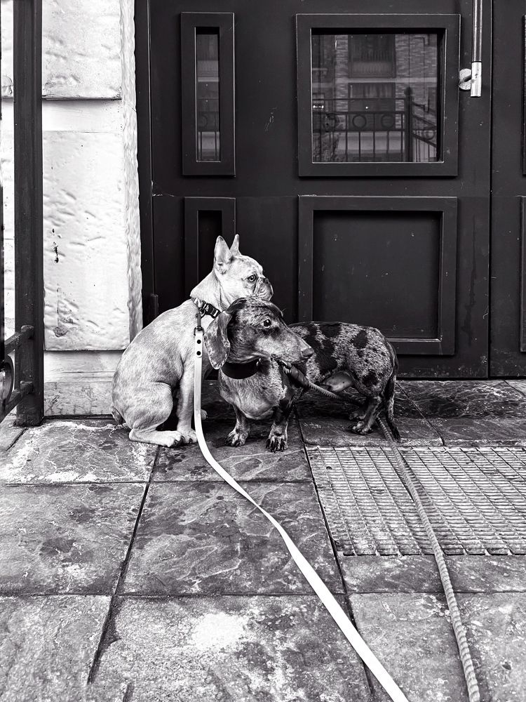 Photograph by Анастасия Иванова