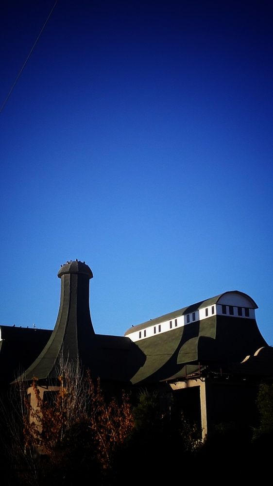 Photo #9044018