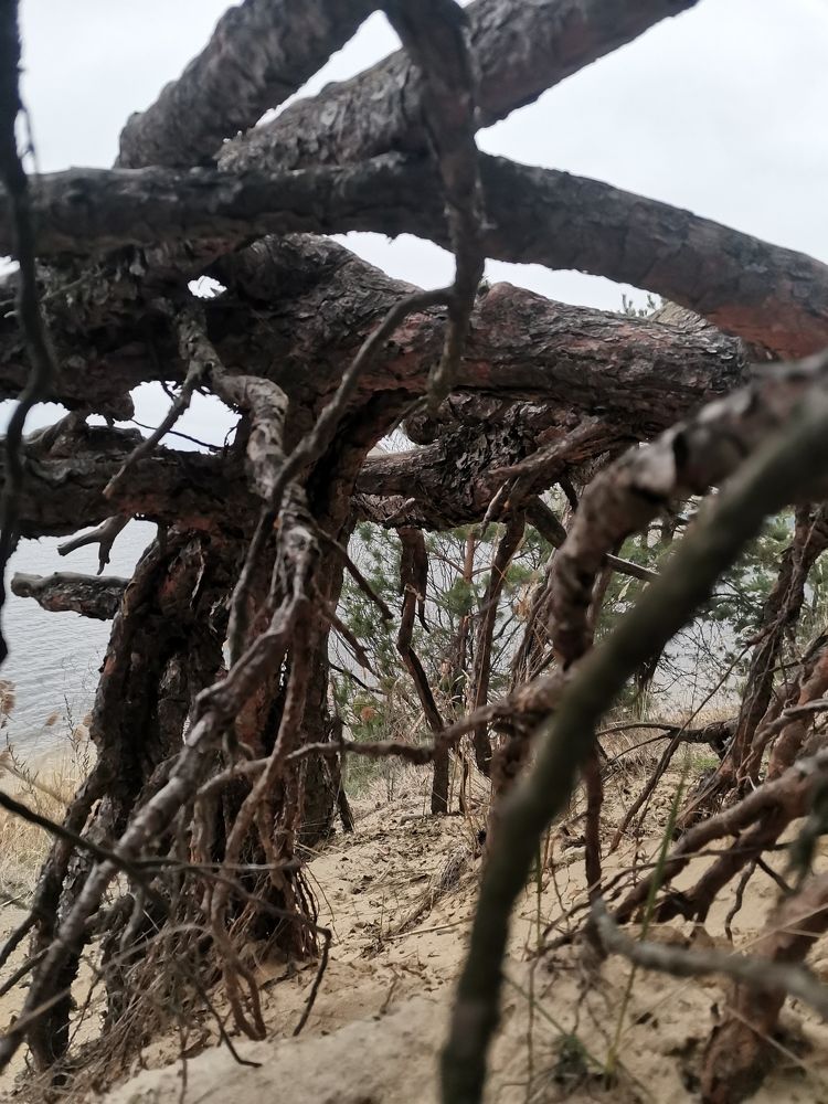 Photograph by Анастасия