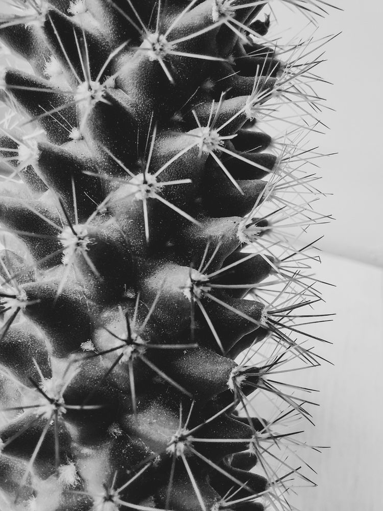 Photograph by Ника К