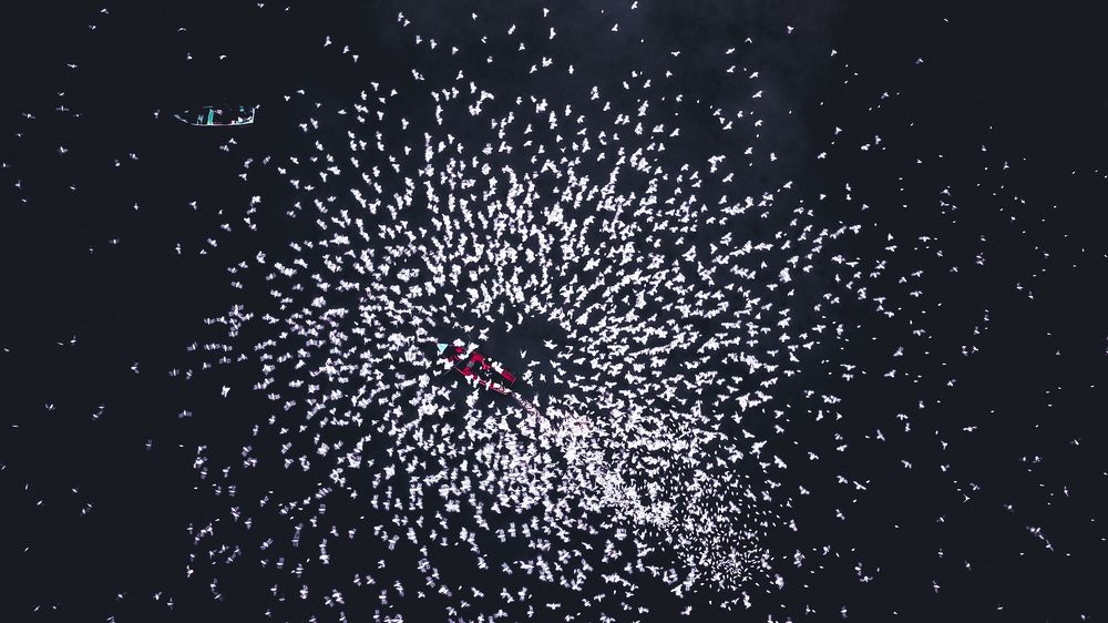 Photograph by Preetam Palo