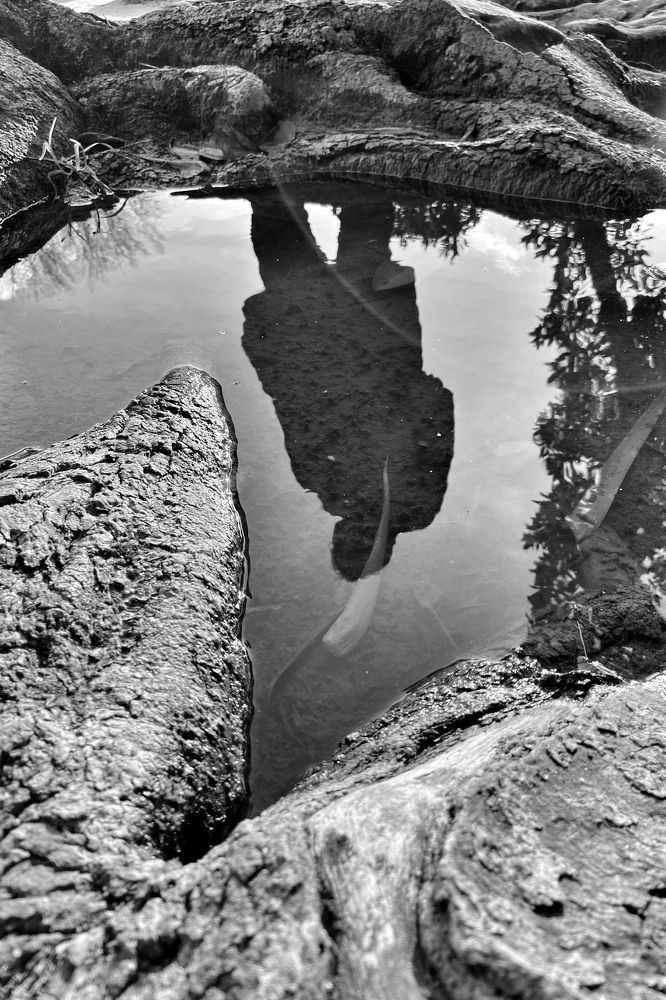 Photograph by Jose Cruzio