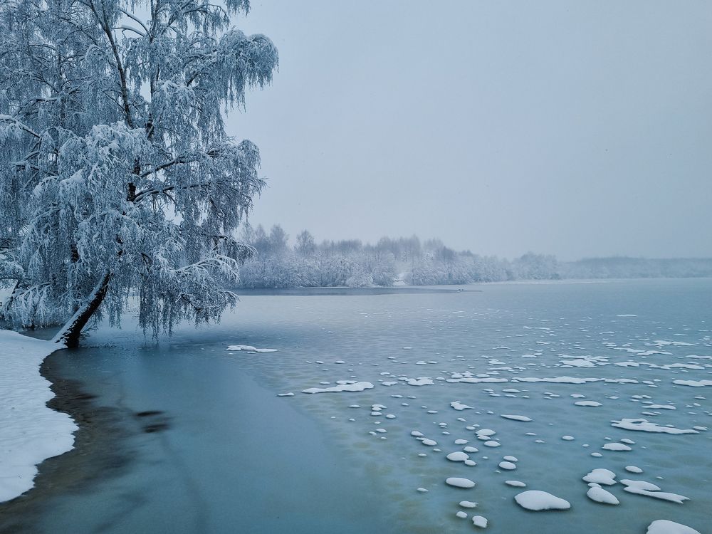 Photograph by Алиса