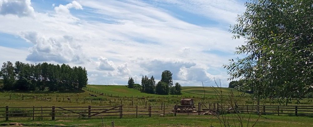 Photograph by Анастасия Стасевич