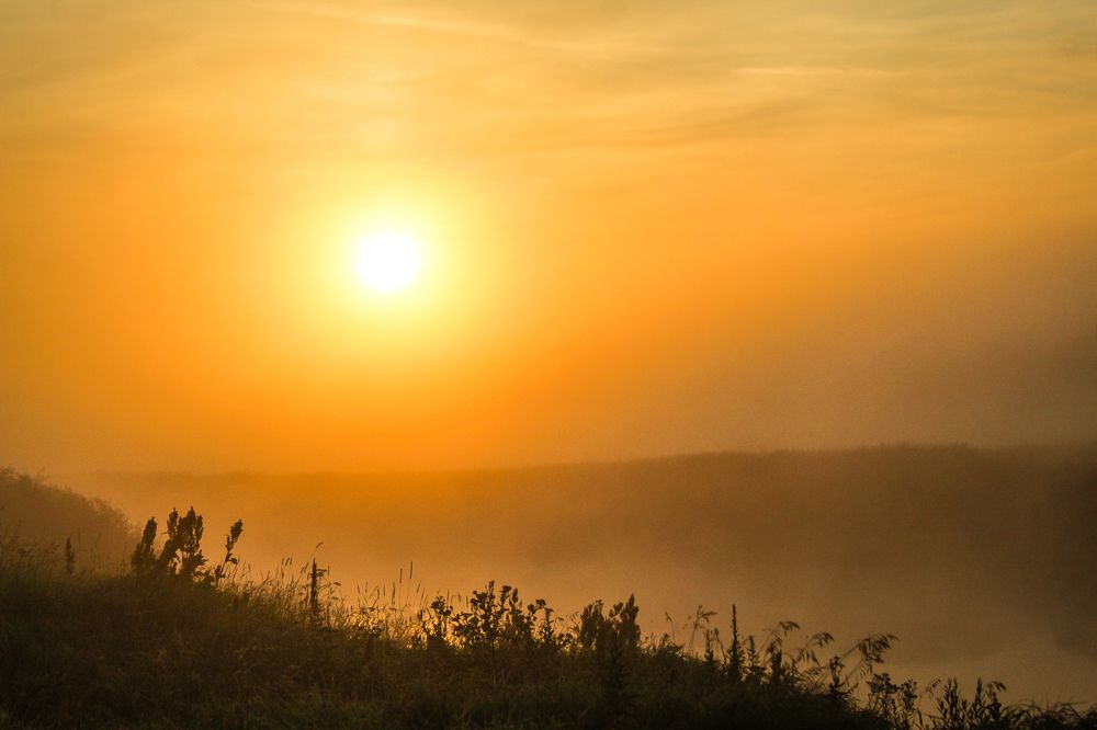 Photograph by Алексей Попов