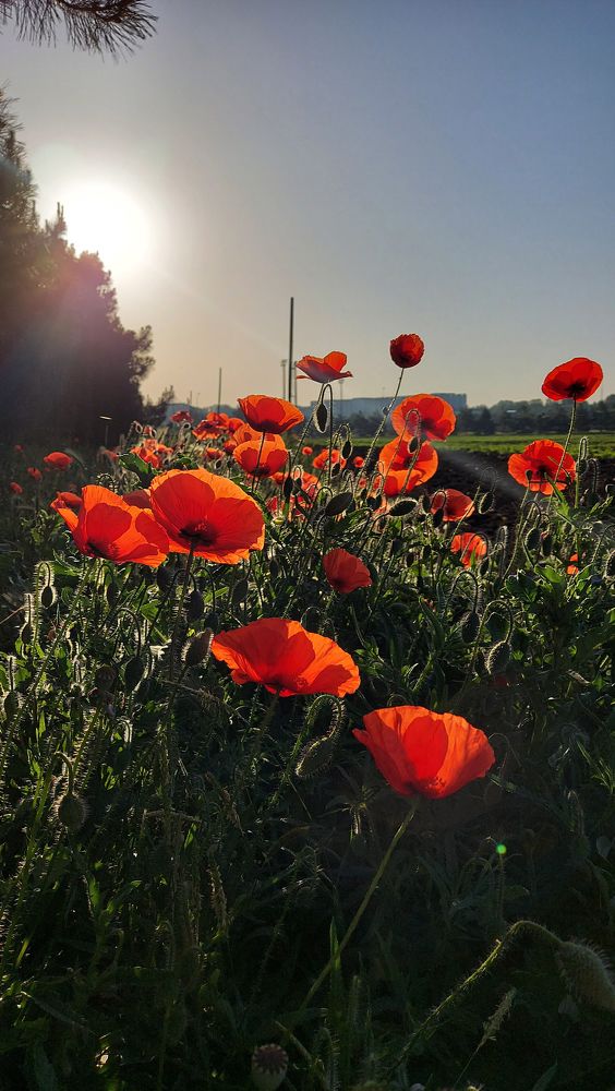 Photograph by Оксана Климова