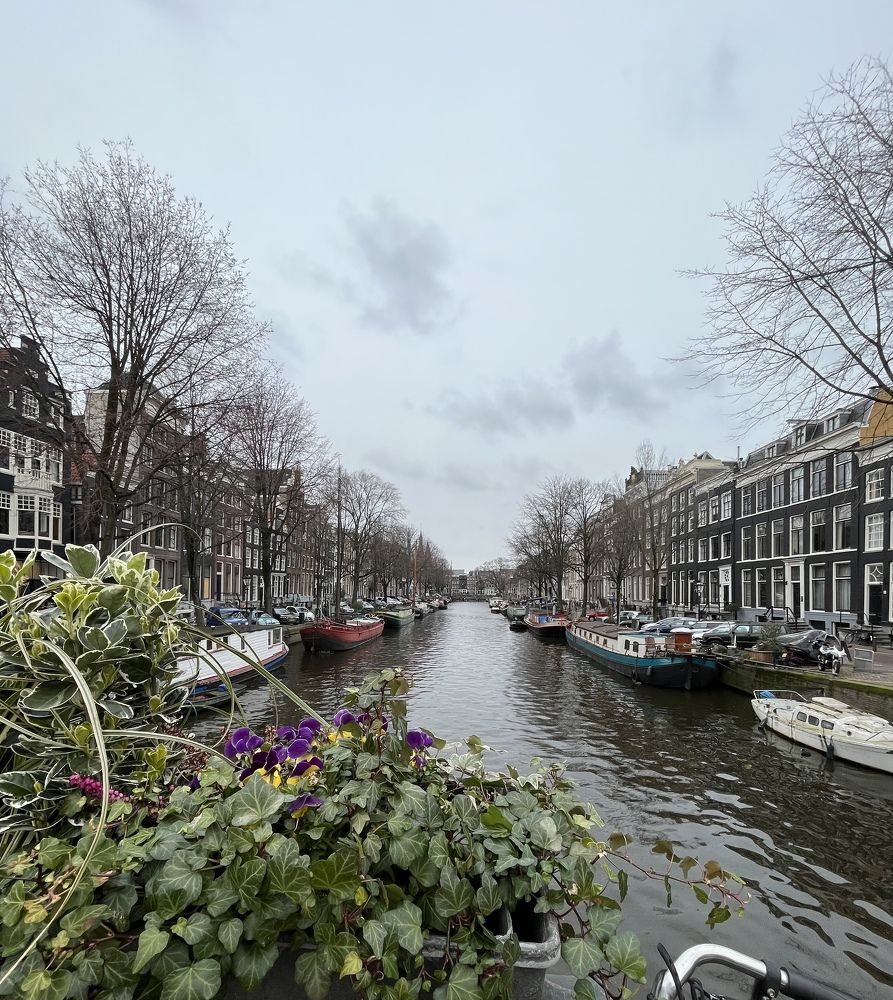 Фотография автора SHREYA SHUKLA