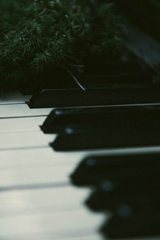 Фотография автора Кирилл Амосов