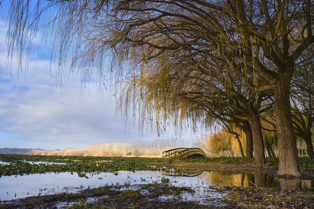 Photograph by Adelaide Sá