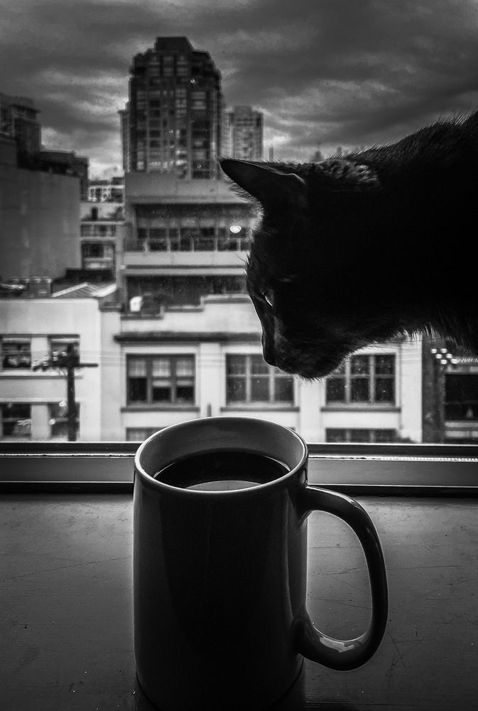 Photograph by Lana Romie