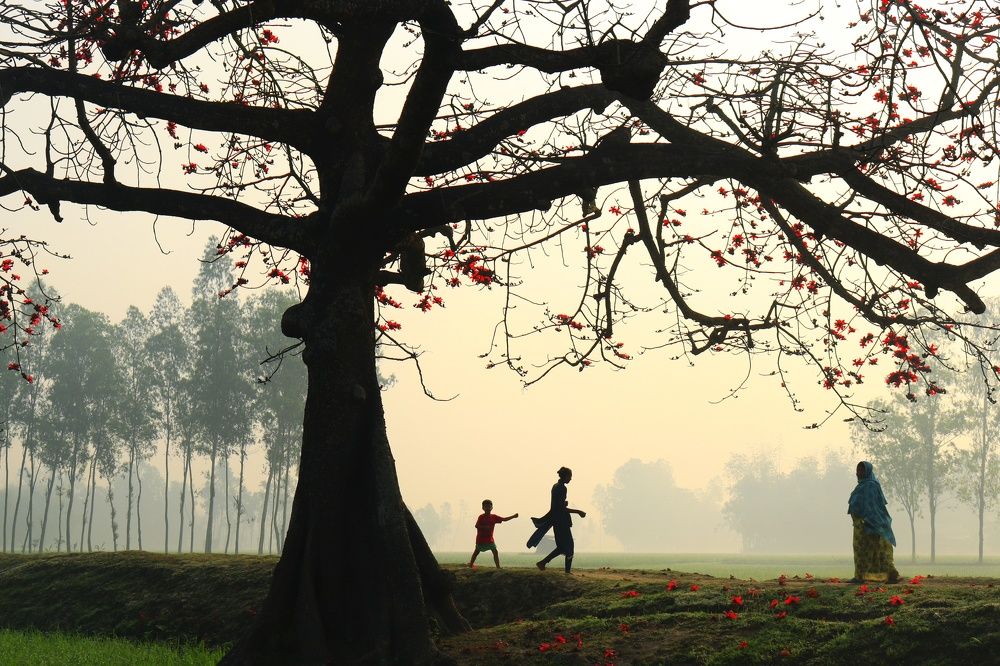 Photograph by Tomal Das