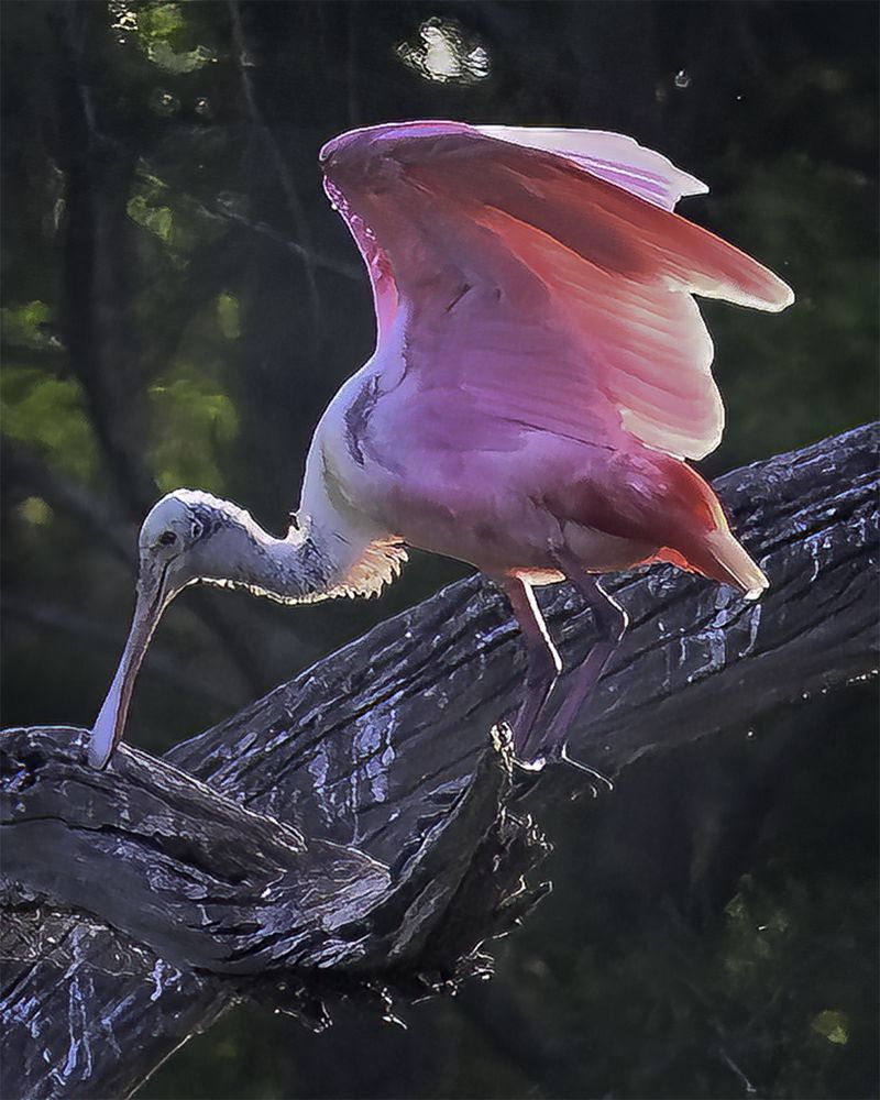 Фотография автора Raymond Asiala