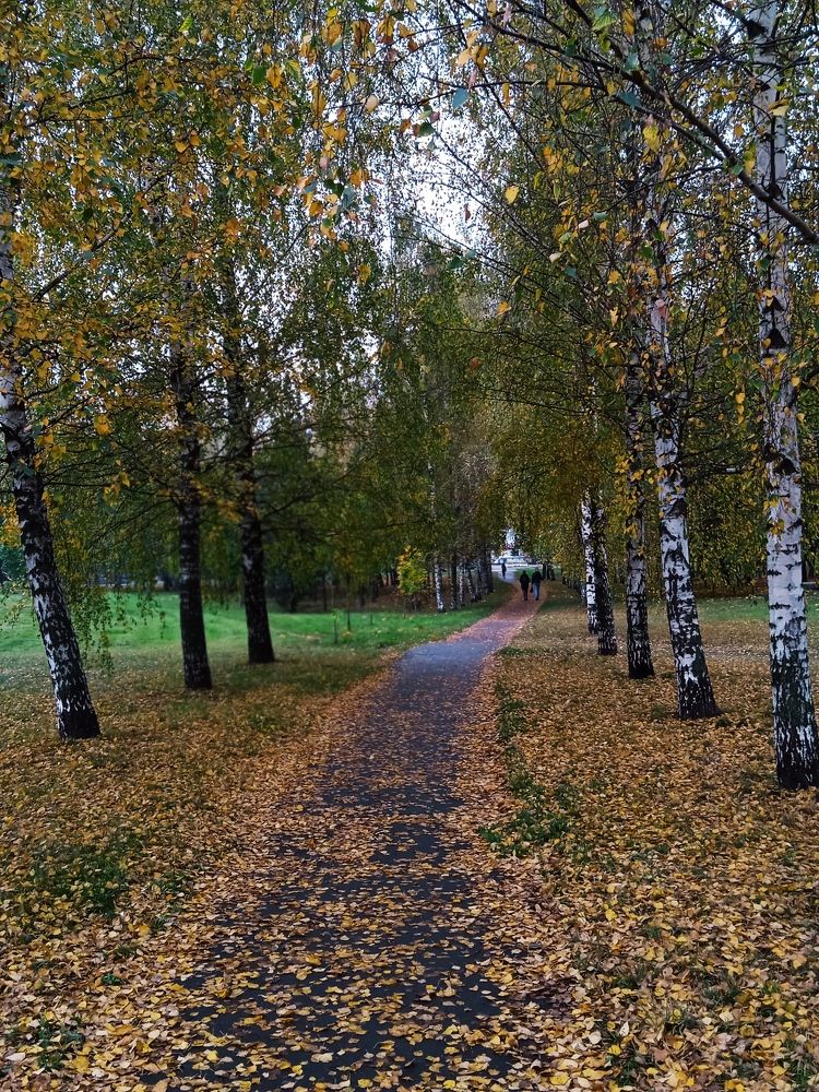 Photo #9045012