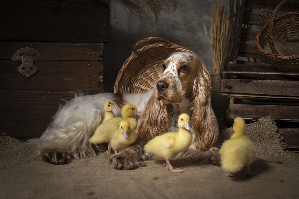 Photograph by Елена Савченкова