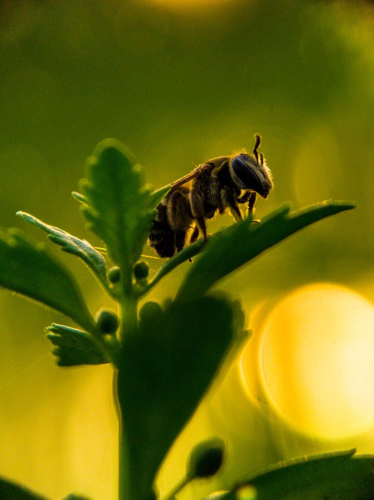 Photograph by Feri Fikri