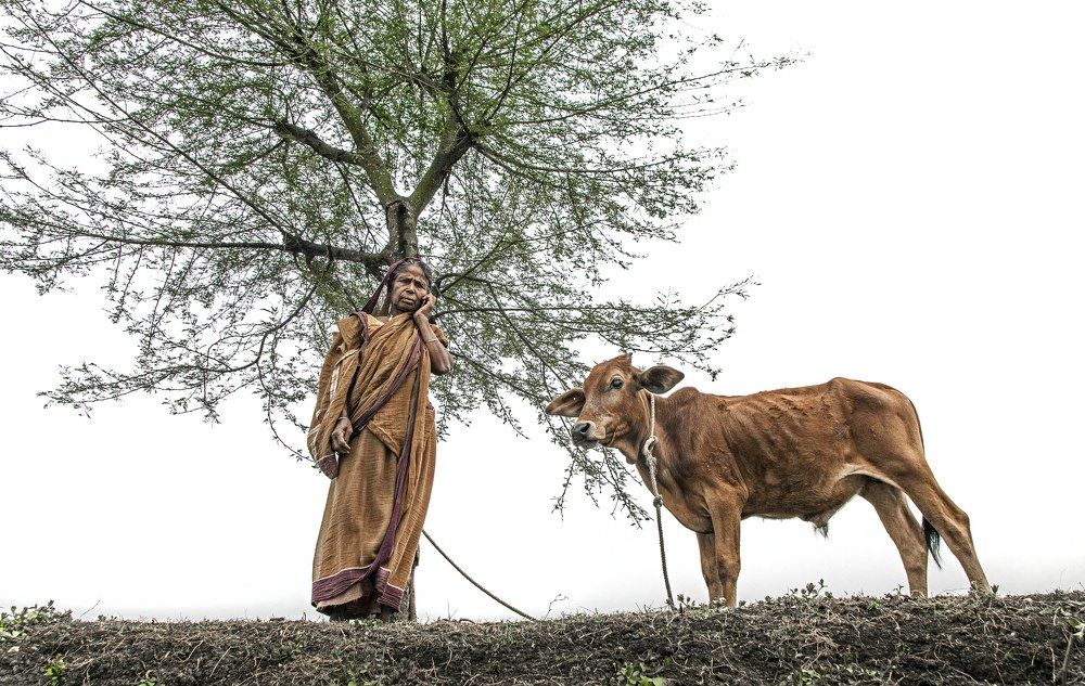 Photograph by Sankar Mandal