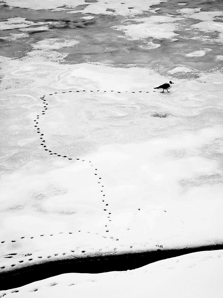 Photograph by Марина Хохрякова